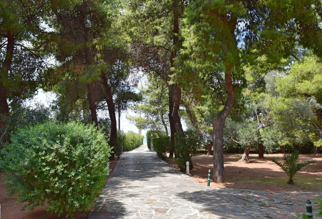 Seaside Villa In Alikes, Chalkida Drosia  Exterior foto