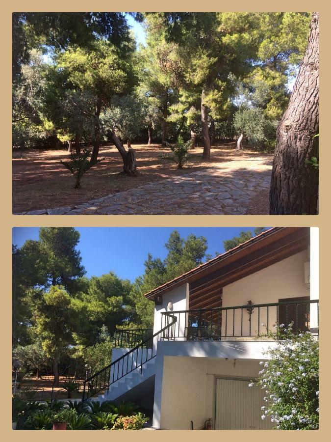 Seaside Villa In Alikes, Chalkida Drosia  Exterior foto