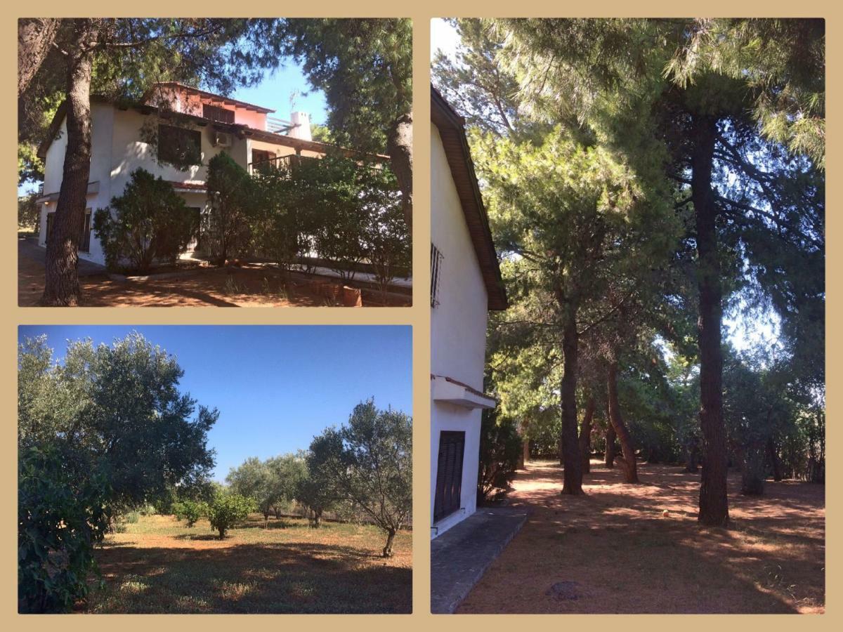 Seaside Villa In Alikes, Chalkida Drosia  Exterior foto