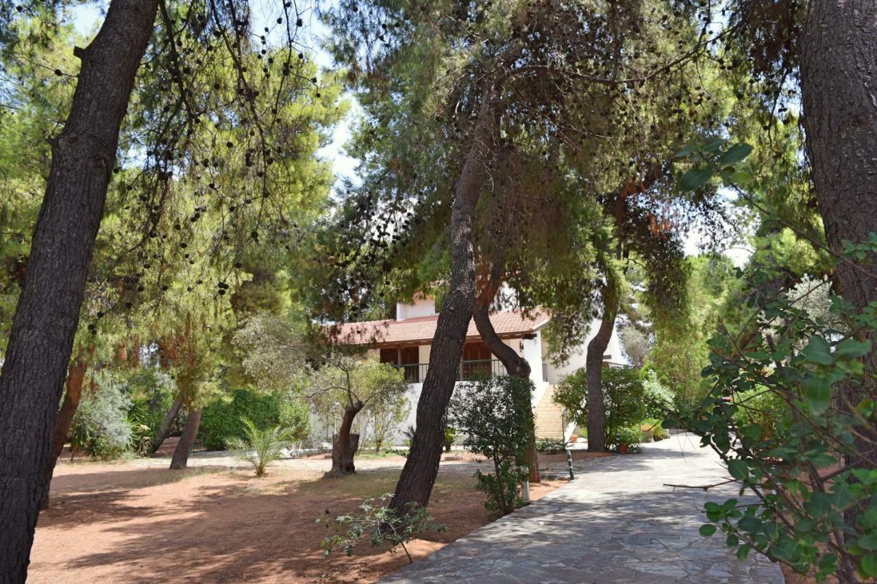 Seaside Villa In Alikes, Chalkida Drosia  Exterior foto