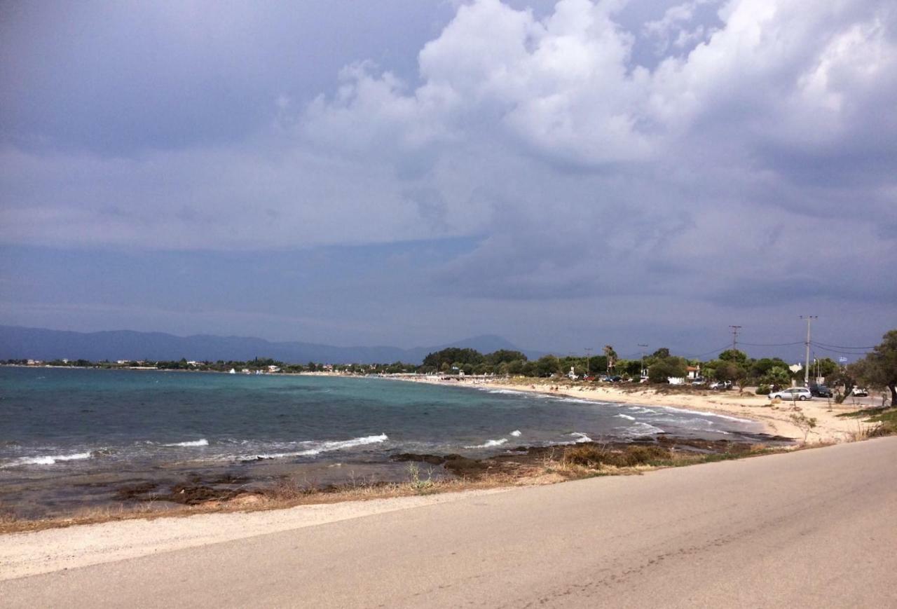 Seaside Villa In Alikes, Chalkida Drosia  Exterior foto