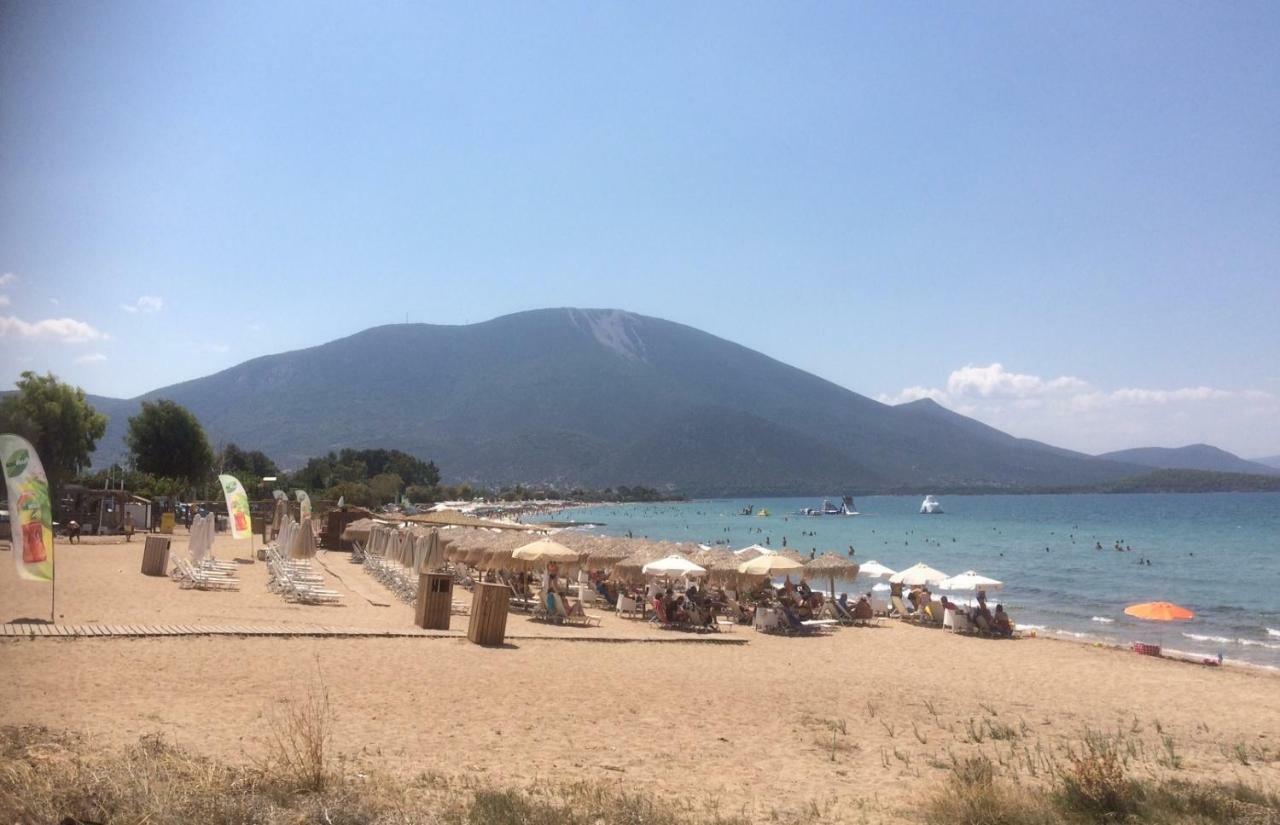 Seaside Villa In Alikes, Chalkida Drosia  Exterior foto
