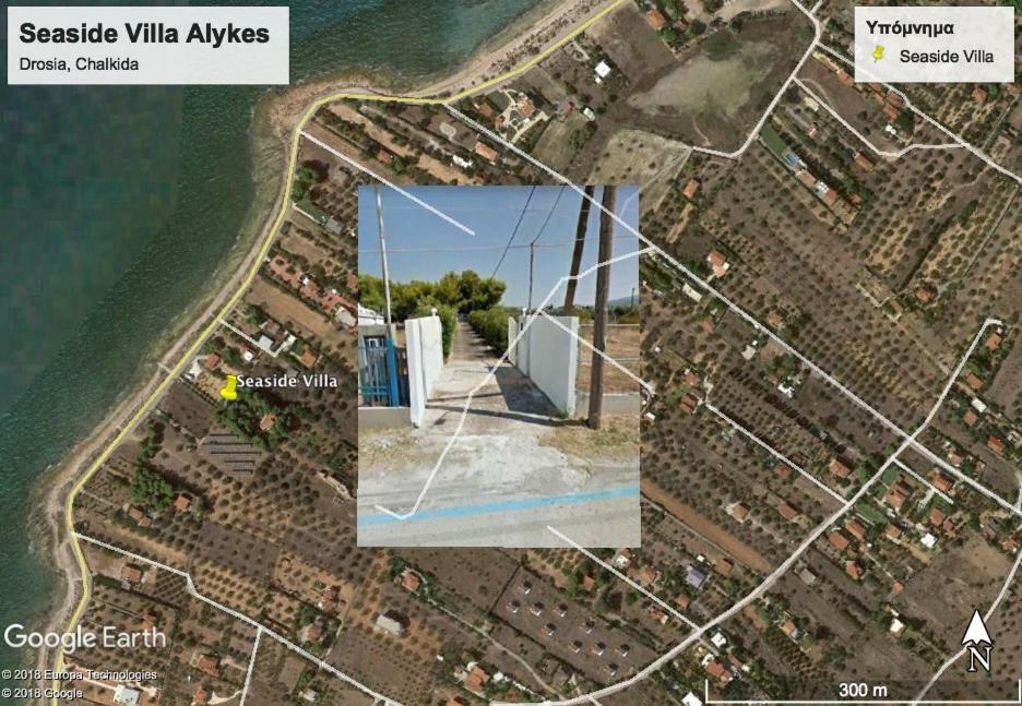 Seaside Villa In Alikes, Chalkida Drosia  Exterior foto